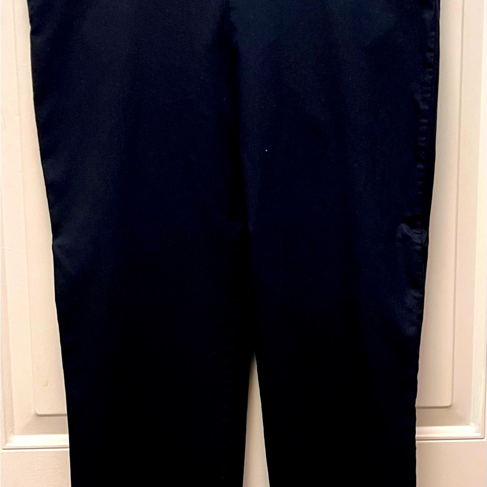 Prophecy Slimming Pants, size 16 W